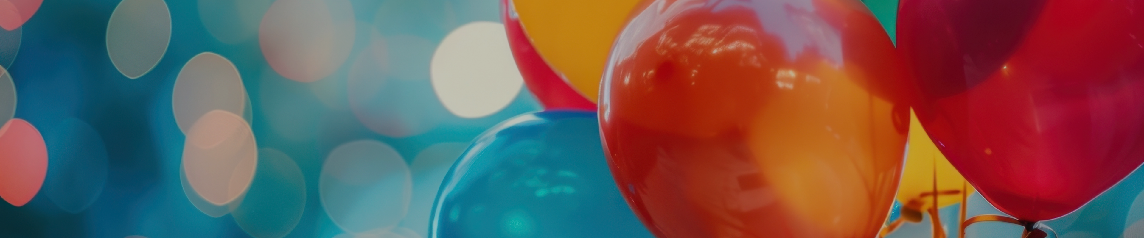 collection-banner-image